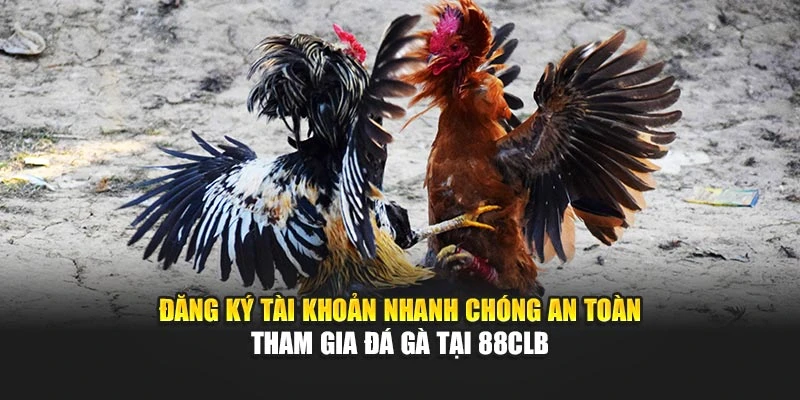 Đăng ký tài khoản nhanh chóng an toàn tham gia đá gà tại 88CLB