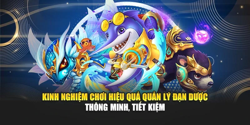 Kinh nghiệm chơi hiệu quả quản lý đạn dược thông minh, tiết kiệm
